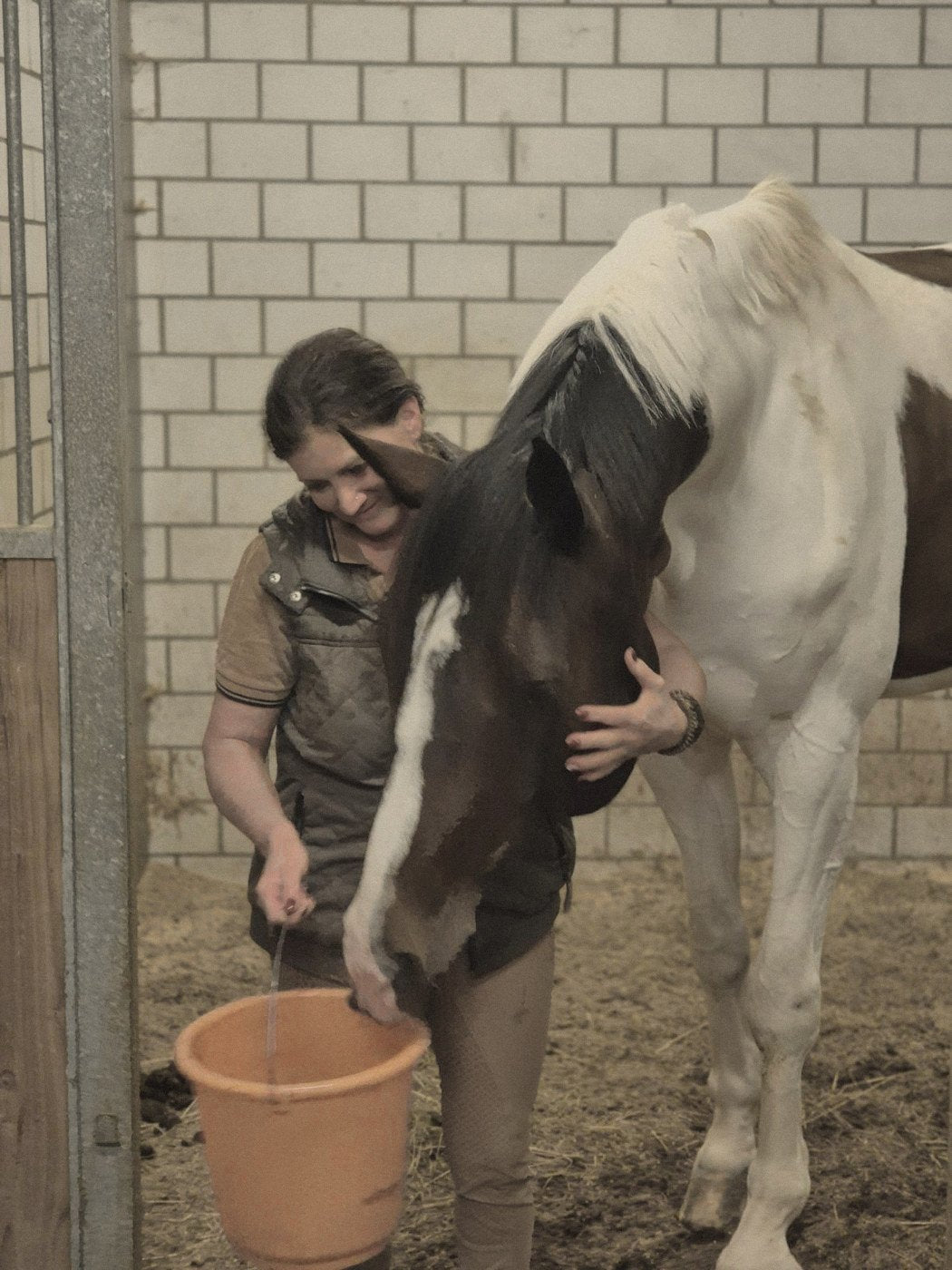 Karin mit ihrem Schecken am Wassereimer
